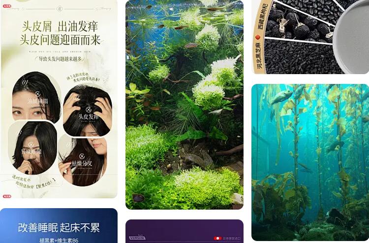 揭秘网站排名:Alexa查询助你掌握网络影响力